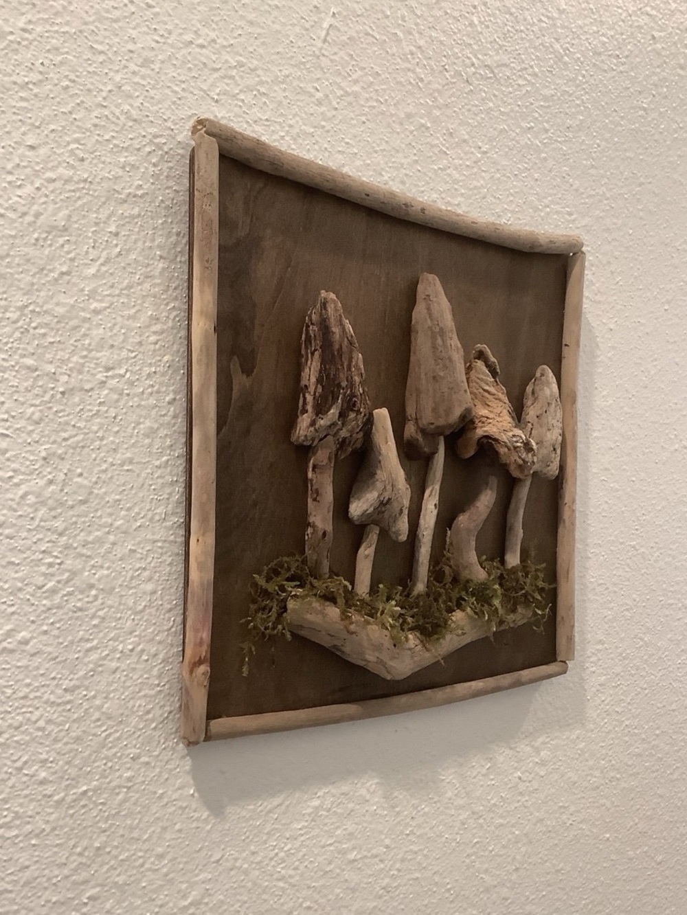Driftwood Art , Driftwood Mushrooms, Mushroom Art, Driftwood Coastal Decor - Picture 3 of 5